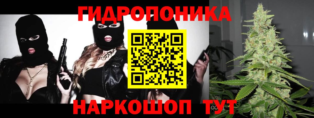 Бошки Шишки Сертолово